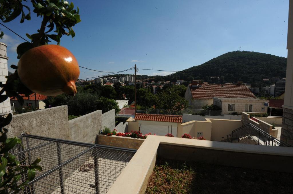 Anka * Dubrovnik